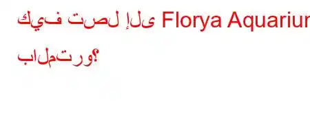 كيف تصل إلى Florya Aquarium بالمترو؟